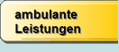 New ALT Text